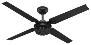 Chronicle Outdoor (Damp) Ceiling Fan by Hunter