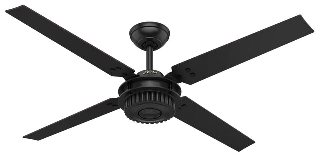 Chronicle Outdoor (Damp) Ceiling Fan by Hunter