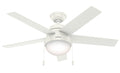 Anslee Ceiling Fan with Light by Hunter