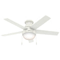 Anslee Ceiling Fan with Light by Hunter