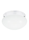 Webster Outdoor (Damp) Flush Mount Ceiling Light by Generation Lighting