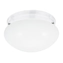 Webster Outdoor (Damp) Flush Mount Ceiling Light by Generation Lighting