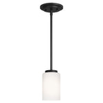 Generation Lighting-61160EN3-112|MAIN