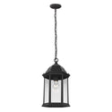 Sevier Outdoor (Damp) Hanging Lanterns by Generation Lighting