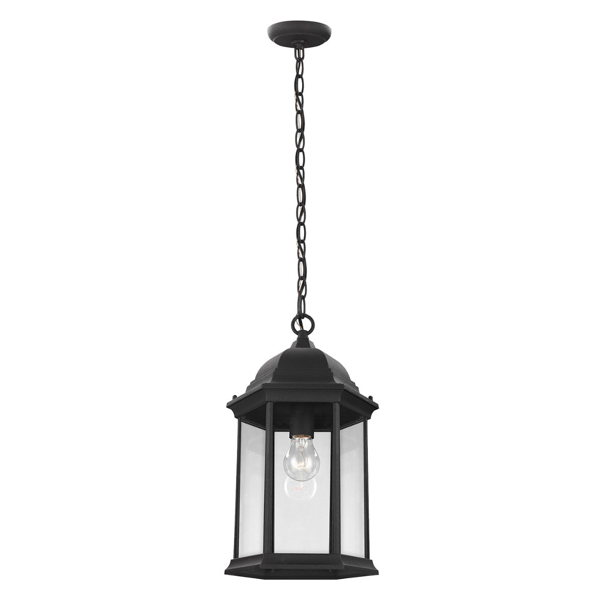 Generation Lighting-6238701-12|MAIN