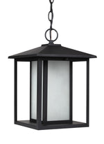 Generation Lighting-69029EN3-12|MAIN