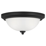 Generation Lighting-77064EN3-112|MAIN