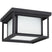 Black with Etched Seeded Glass and White Shade