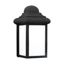 Mullberry Hill Outdoor (Wet) Lantern by Generation Lighting