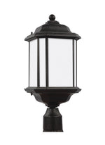 Generation Lighting-82529EN3-746|MAIN