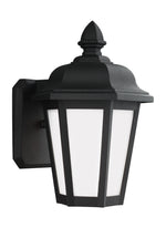 Generation Lighting-89822-12|MAIN