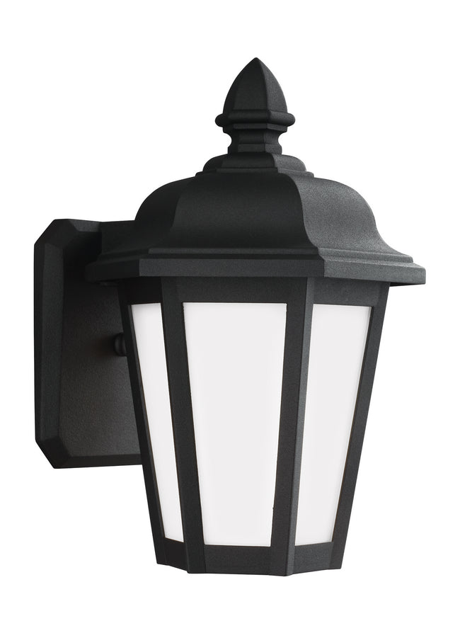 Generation Lighting-89822-12|MAIN