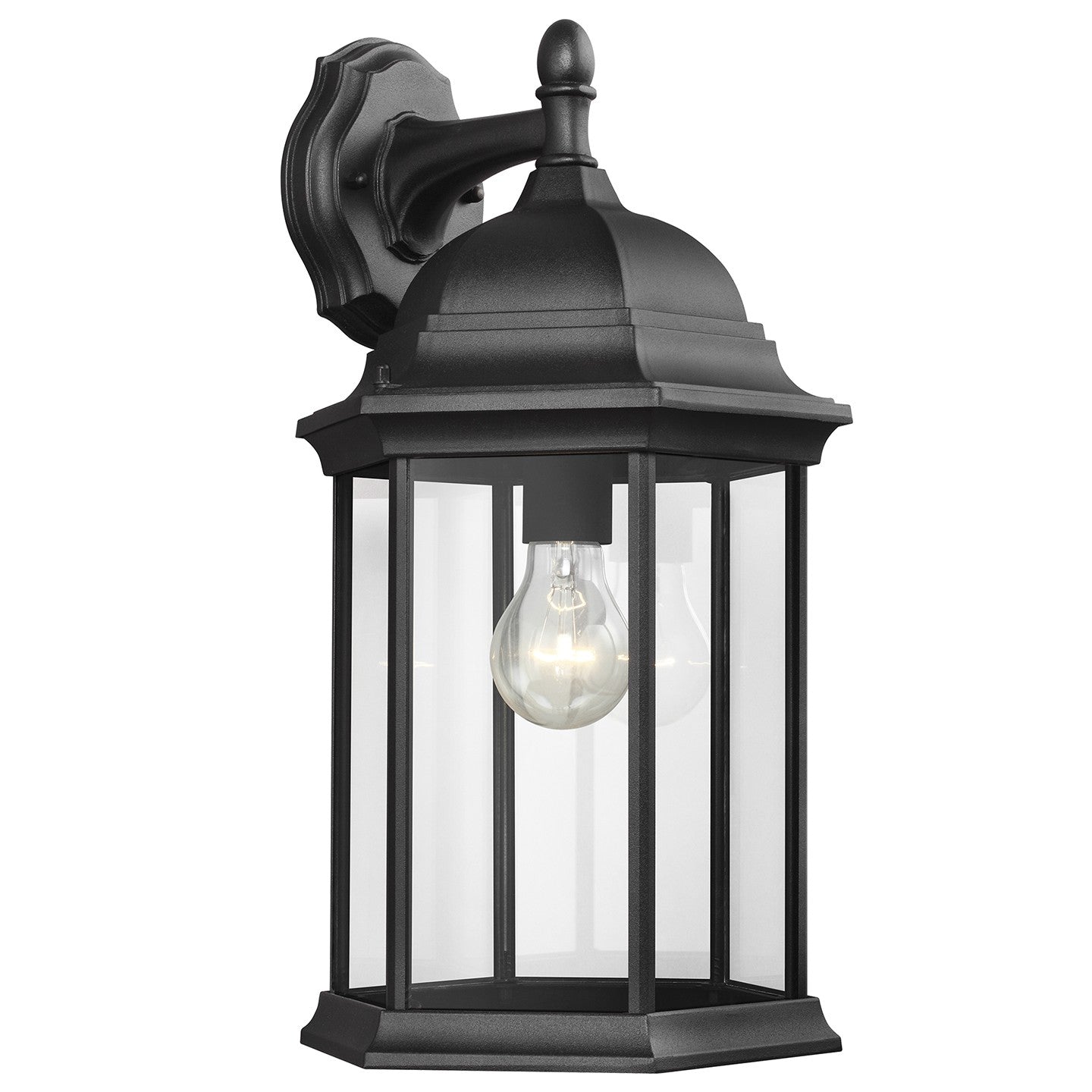 Generation Lighting-8438701-12|MAIN