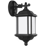 Generation Lighting-84530EN3-12|MAIN