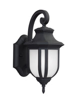 Generation Lighting-8536301EN3-12|MAIN