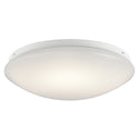Ceiling Space Outdoor (Damp) Flush Mount Ceiling Light by Kichler