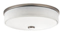 Ceiling Space Outdoor (Damp) Flush Mount Ceiling Light by Kichler