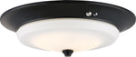 Nuvo Lighting-62-972|MAIN