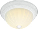 Outdoor (Damp) Flush Mount Ceiling Light by Nuvo Lighting