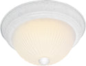 Outdoor (Damp) Flush Mount Ceiling Light by Nuvo Lighting