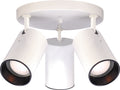 Outdoor (Damp) Flush Mount Light by Nuvo Lighting