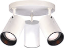 Outdoor (Damp) Flush Mount Light by Nuvo Lighting