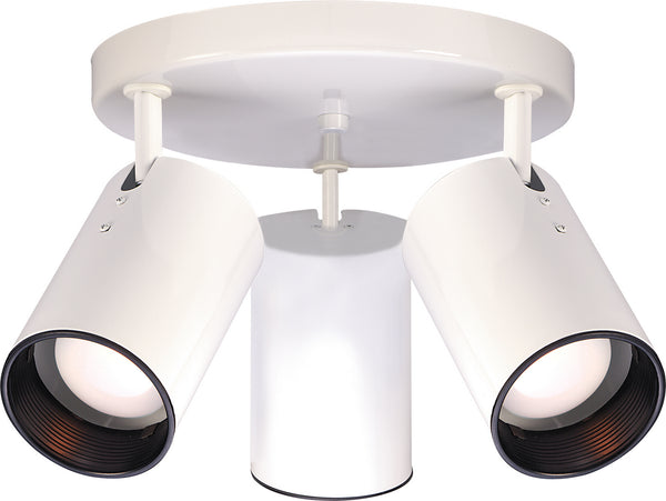 Outdoor (Damp) Flush Mount Light by Nuvo Lighting