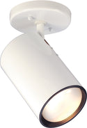 Outdoor (Damp) Flush Mount Light by Nuvo Lighting