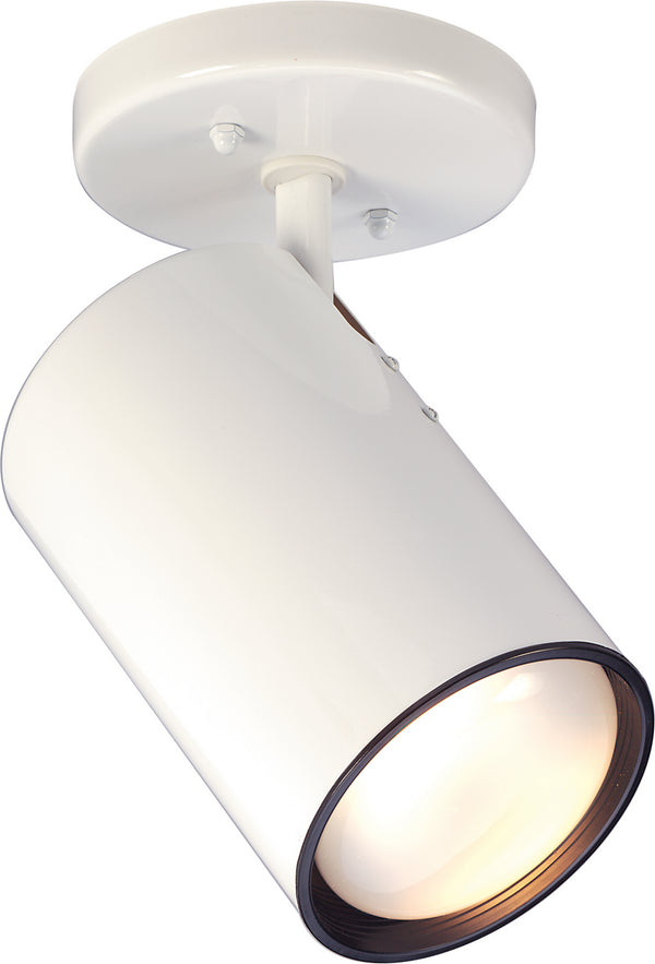 Outdoor (Damp) Flush Mount Light by Nuvo Lighting