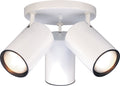 Outdoor (Damp) Flush Mount Light by Nuvo Lighting