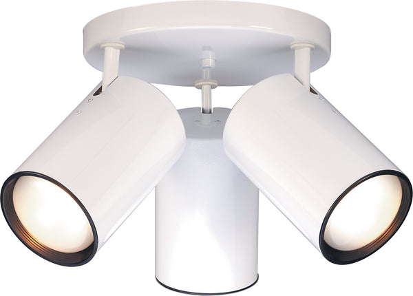 Outdoor (Damp) Flush Mount Light by Nuvo Lighting