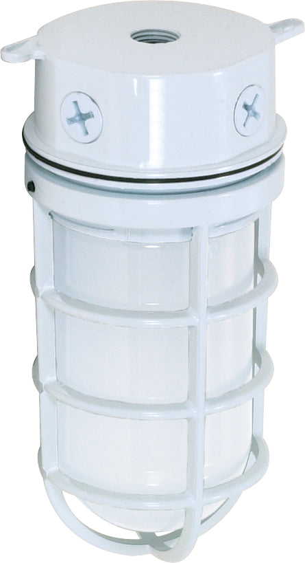 Outdoor (Wet) Ceiling Mount Light by Nuvo Lighting