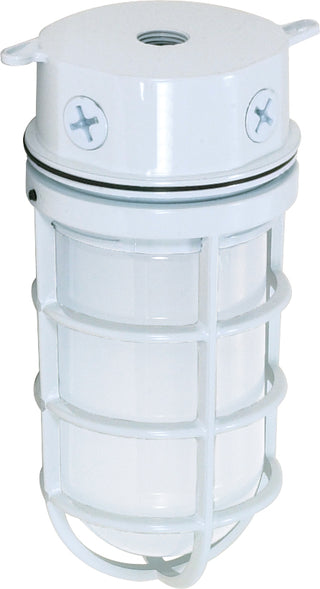 Outdoor (Wet) Ceiling Mount Light by Nuvo Lighting