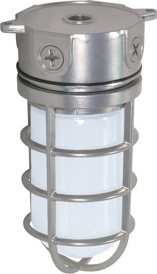Buy metallic-silver-with-frost-glass Outdoor (Wet) Ceiling Mount Light by Nuvo Lighting