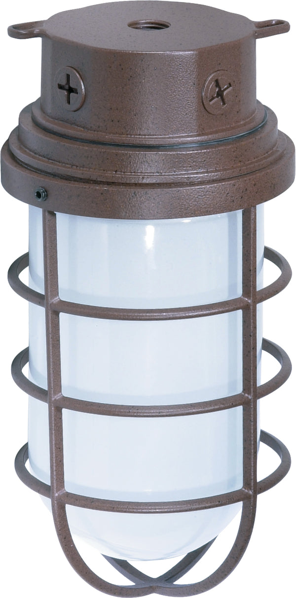 Outdoor (Wet) Wall Lantern by Nuvo Lighting