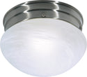 Outdoor (Damp) Flush Mount Light by Nuvo Lighting