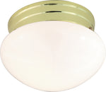 Nuvo Lighting-SF77-059|MAIN