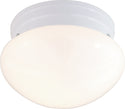 Outdoor (Damp) Flush Mount Light by Nuvo Lighting