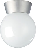 Outdoor (Wet) Ceiling Mount Light by Nuvo Lighting