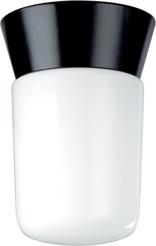 Buy black-with-white-glass Outdoor (Wet) Ceiling Mount Light by Nuvo Lighting