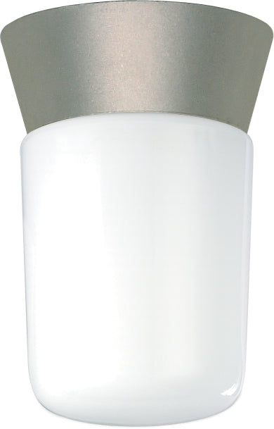 Outdoor (Wet) Ceiling Mount Light by Nuvo Lighting