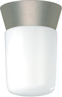 Outdoor (Wet) Ceiling Mount Light by Nuvo Lighting
