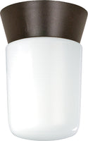 Outdoor (Wet) Ceiling Mount Light by Nuvo Lighting