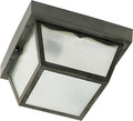Outdoor (Wet) Flush Mount Light by Nuvo Lighting