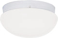 Outdoor (Damp) Flush Mount Ceiling Light by Nuvo Lighting