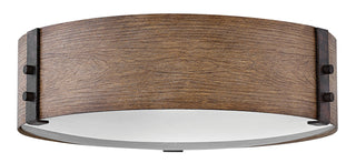Buy sequoia-with-etched-glass Sawyer Outdoor (Damp) Flush Mount Ceiling Light by Hinkley
