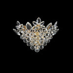 Allegri-021021-018-FR001|MAIN