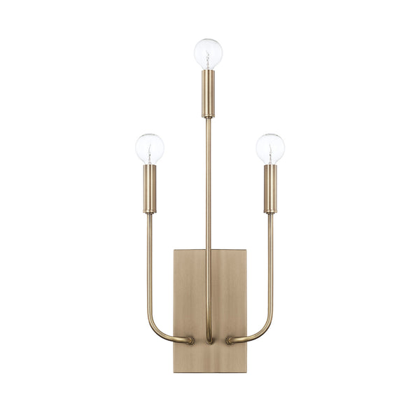 Zander Wall Sconce by Capital Lighting
