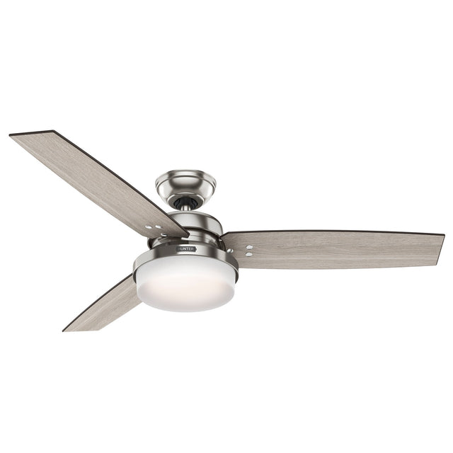 Sentinel Ceiling Fan with Light by Hunter