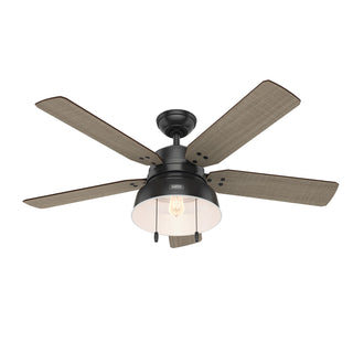 Buy matte-black-finish-with-medium-walnut-and-reversible-walnut-stripe-blades Mill Valley Outdoor (Damp) Ceiling Fan with Light by Hunter
